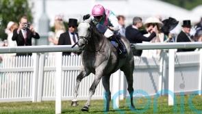 Field Of Gold raring to go again after Goodwood blip