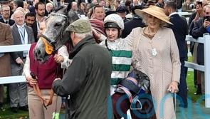 &lsquo;Long-term project&rsquo; Alpinara set for eagerly-awaited start at Newbury