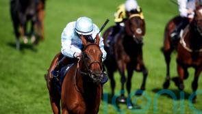 Amiloc to spearhead Beckett&rsquo;s Breeders&rsquo; Cup challenge