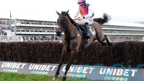 Rain required for Haiti Couleurs reappearance