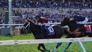 Cy Fair too good for True Love and company