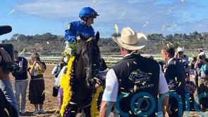 Rebel&rsquo;s Romance goes down fighting in bid for history