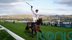 Scott planning thorough check-up for Golden Ace