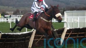 Greenall backing White Rhino to punch his weight in Sefton