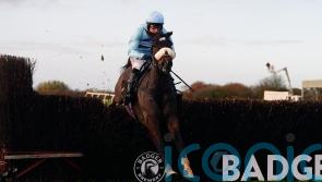 Gustavian gets the Beer money at Wincanton