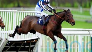 Derryhassen Paddy and Sixmilebridge line up for midweek cracker at Ayr