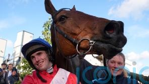 Farewell spring run on the cards for Cheveley stalwart Envoi Allen