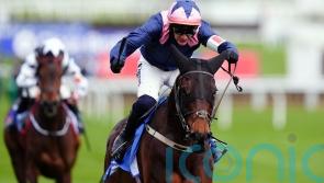 Kopek Des Bordes all set to light up Navan for owner McCarthy