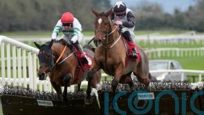 Teahupoo battles bravely for Hatton&rsquo;s Grace hat-trick