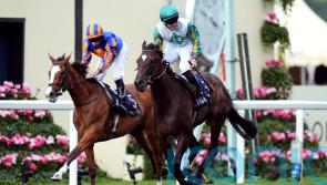 Porta Fortuna and Barnavara make waves at Tattersalls