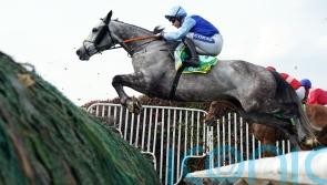 No rush to map out next outing for Resplendent Grey
