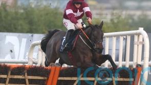 Elliott raises exciting new option for Brighterdaysahead