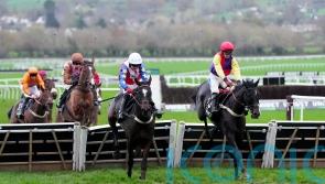 Alexei could divert from Ascot to test Grade One credentials