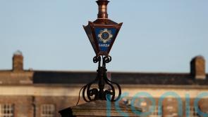 Man arrested in cow-rustling inquiry after 18 stolen animals found