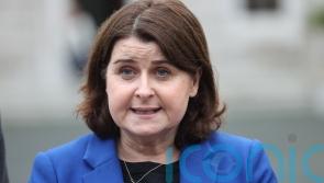 Stricter rules for puppy farms is &lsquo;something people want action on&rsquo;, Dail hears