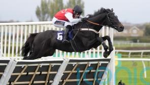 Nicol to continue Study&rsquo;s education at Cheltenham