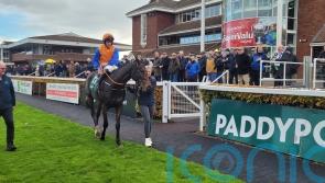 Mister Pessimistic giving De Bromhead cause for optimism