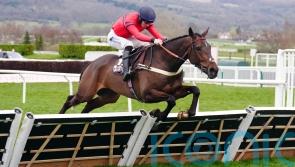 Jig&rsquo;s Forge too good for Lucky Place in Newbury match