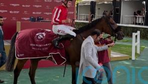 Dubai set to be starting point in a big year for Caballo De Mar
