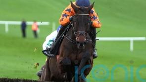 Final Demand poised to light up Limerick &ndash; but might not have it all his own way