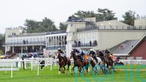 Ludlow and Lingfield call off Monday fixtures