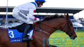 Kalif Du Berlais suffers fatal injury at Kempton