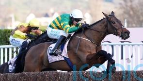 Hopes high for Inothewayurthinkin revival at Leopardstown