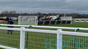 Feel Gut looks every inch the part on Warwick debut