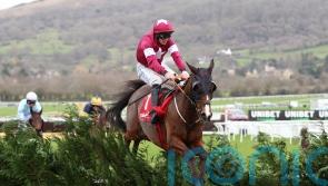 Favori De Champdou the latest cross-country hero for Elliott and Gigginstown