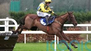 Doctor Steinberg far too good at Leopardstown