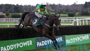 Fact To File roars back to his best with Irish Gold Cup victory