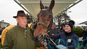 Cheltenham remains the aim for Affordale Fury