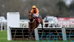 La Luna Artista does Williams proud in Adonis triumph