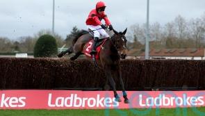 Jax Junior the pride of Pendil for Lucy Wadham