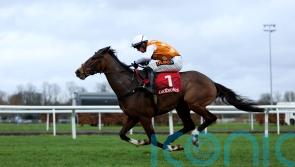 Klub De Reve takes flight in Dovecote