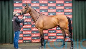 Conditions key for Kabral Du Mathan&rsquo;s Stayers&rsquo; Hurdle assignment