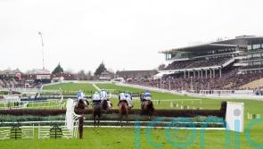 Captain Hugo will not be hunting Cheltenham bonus next week