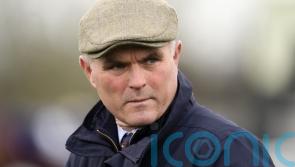 Evan Williams seen hitting dog walker &lsquo;with force&rsquo;, jury told