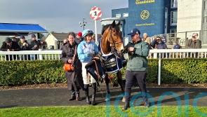 Brechin Castle defies long absence at Naas