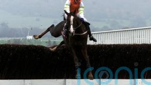 When Latalomne had the Champion Chase at his mercy &ndash; twice