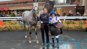 Olive Nicholls chasing special winner with Golden Son