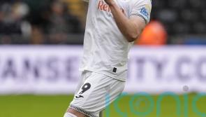 On-fire Zan Vipotnik on target again as Swansea beat Stoke
