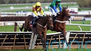 King Rasko Grey powers to Turners glory for Mullins