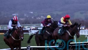 Tizzard backing Kripticjim to rise to Bartlett challenge