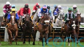 White Noise provides Festival joy for Tom Bellamy