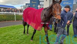 Causeway looks the part with Madrid Handicap strike at Naas