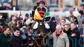 The Mourne Rambler aimed at Punchestown for bumper double