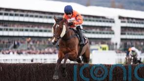 Cheltenham winner Madara given Topham target