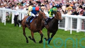 Lazzat out to atone for Saudi near-miss in Dubai