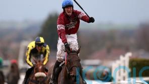 Rule The World helped put Gigginstown on a (Tiger) Roll